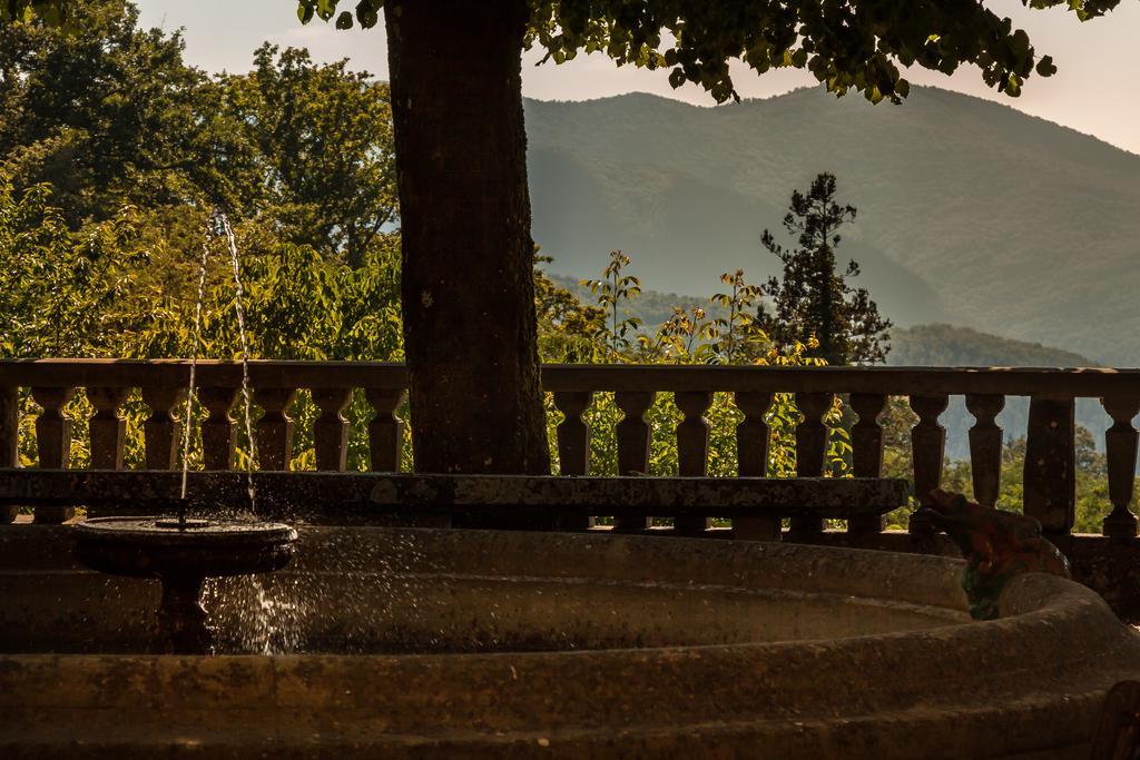 Giotto Park Hotel Bivigliano Exterior photo